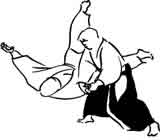 aikido-no-Raposo Tavares