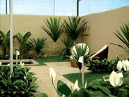 Paisagismo Raposo Tavares